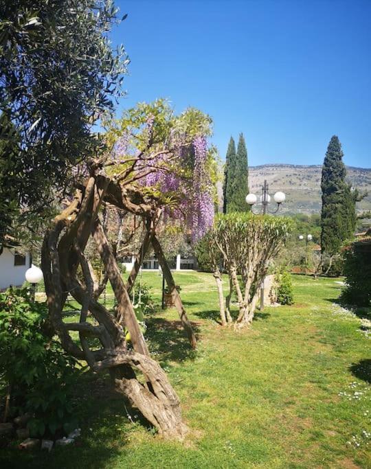 Villetta Blue Garden Sonnino Екстериор снимка