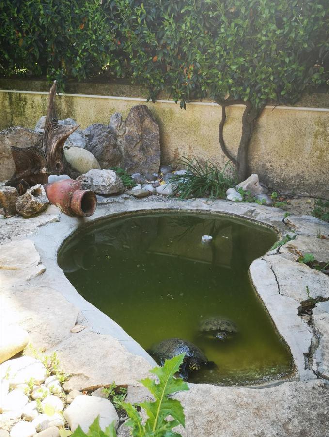 Villetta Blue Garden Sonnino Екстериор снимка