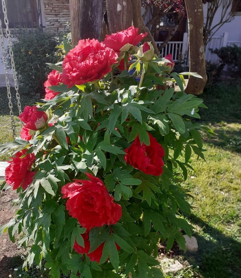 Villetta Blue Garden Sonnino Екстериор снимка