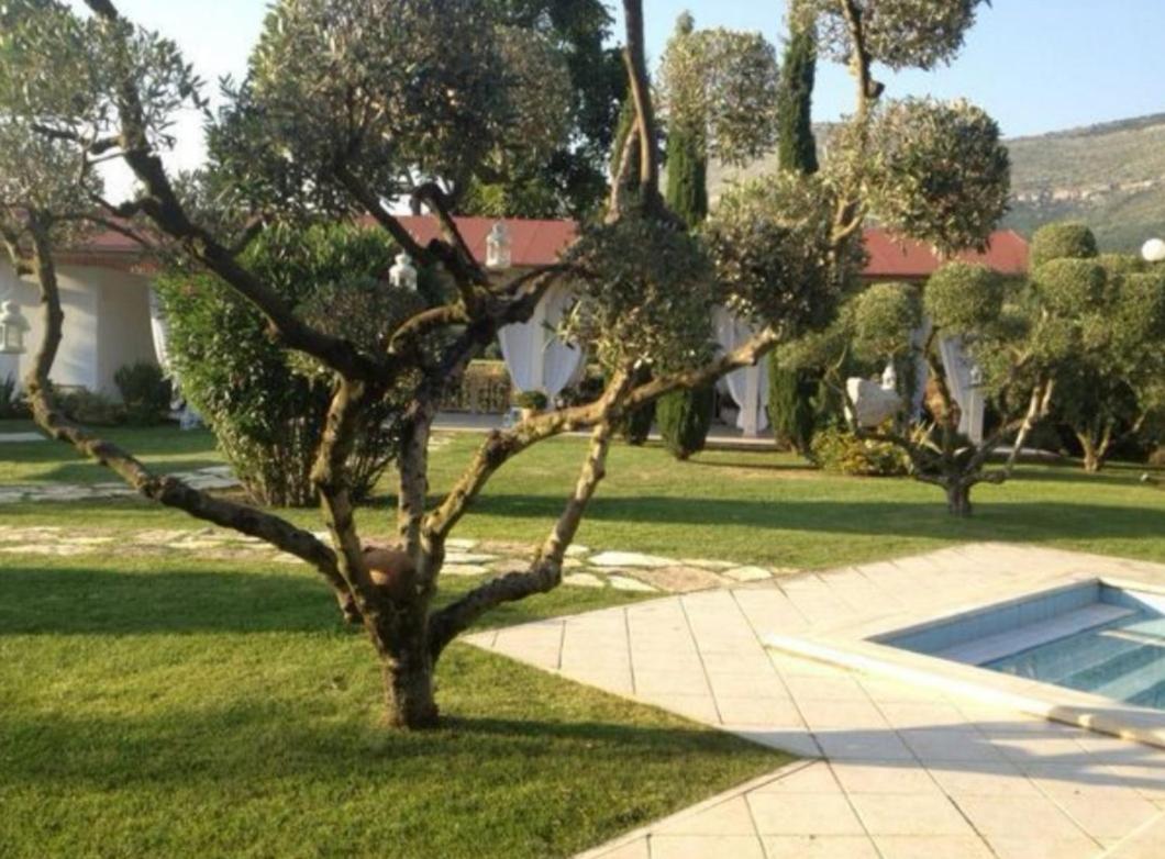 Villetta Blue Garden Sonnino Екстериор снимка